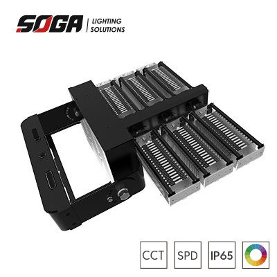 ซื้อ แกรี่หรือดํา Housing สีแข็งแรง IP66 ไฟสเตเดี้ยม LED กับเครื่องติดตั้งที่ยืดหยุ่นและกล่องขับเคลื่อนที่แยกออก online manufacture